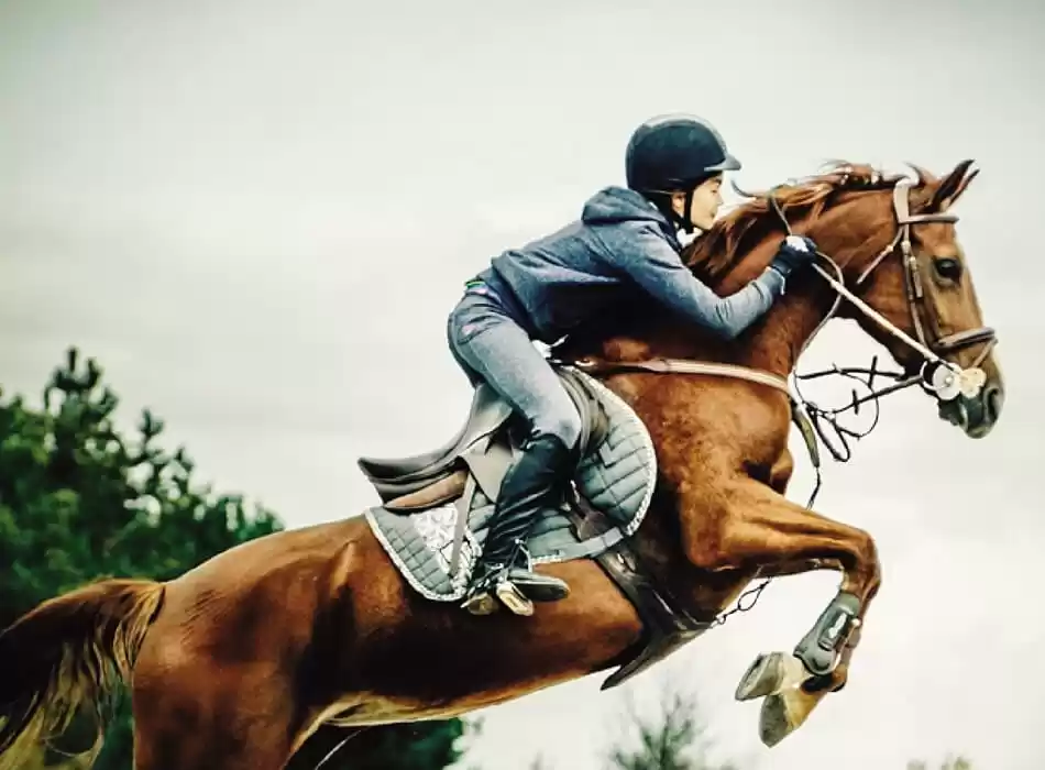Equestrian